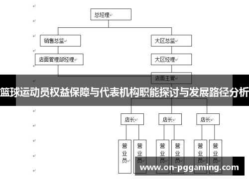 篮球运动员权益保障与代表机构职能探讨与发展路径分析