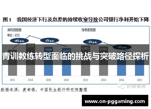 青训教练转型面临的挑战与突破路径探析