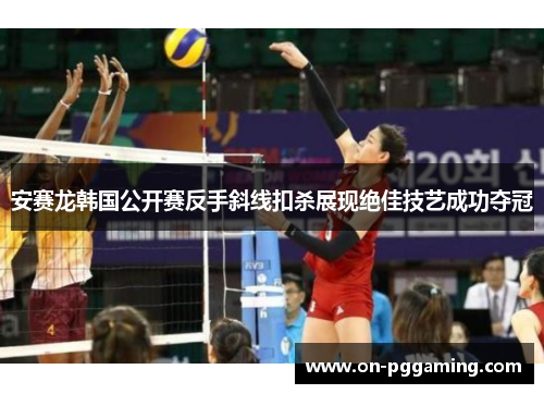 安赛龙韩国公开赛反手斜线扣杀展现绝佳技艺成功夺冠