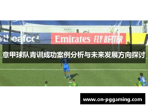 意甲球队青训成功案例分析与未来发展方向探讨